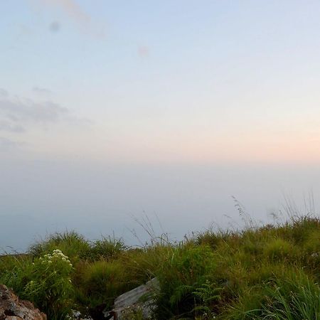Olive Hill Top Hotel Haputale Buitenkant foto