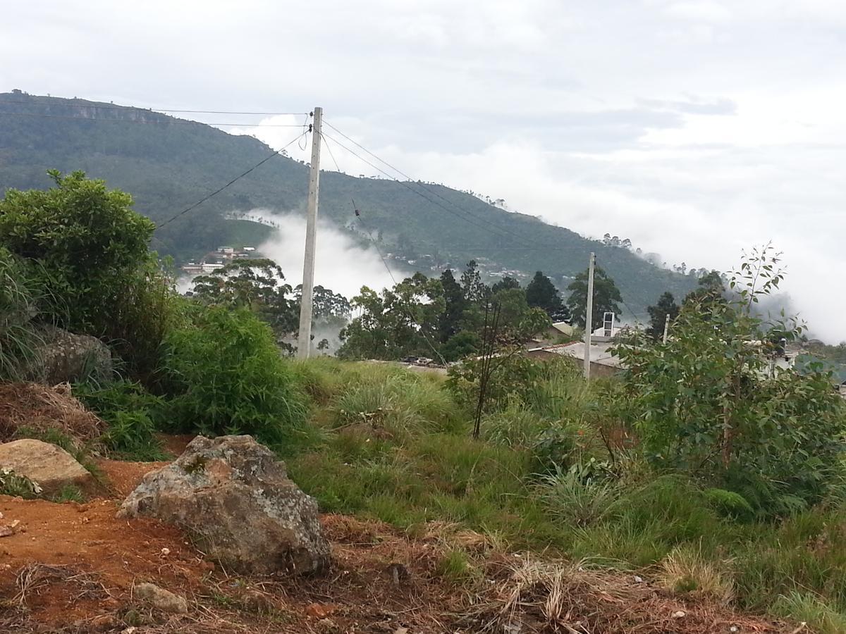 Olive Hill Top Hotel Haputale Buitenkant foto