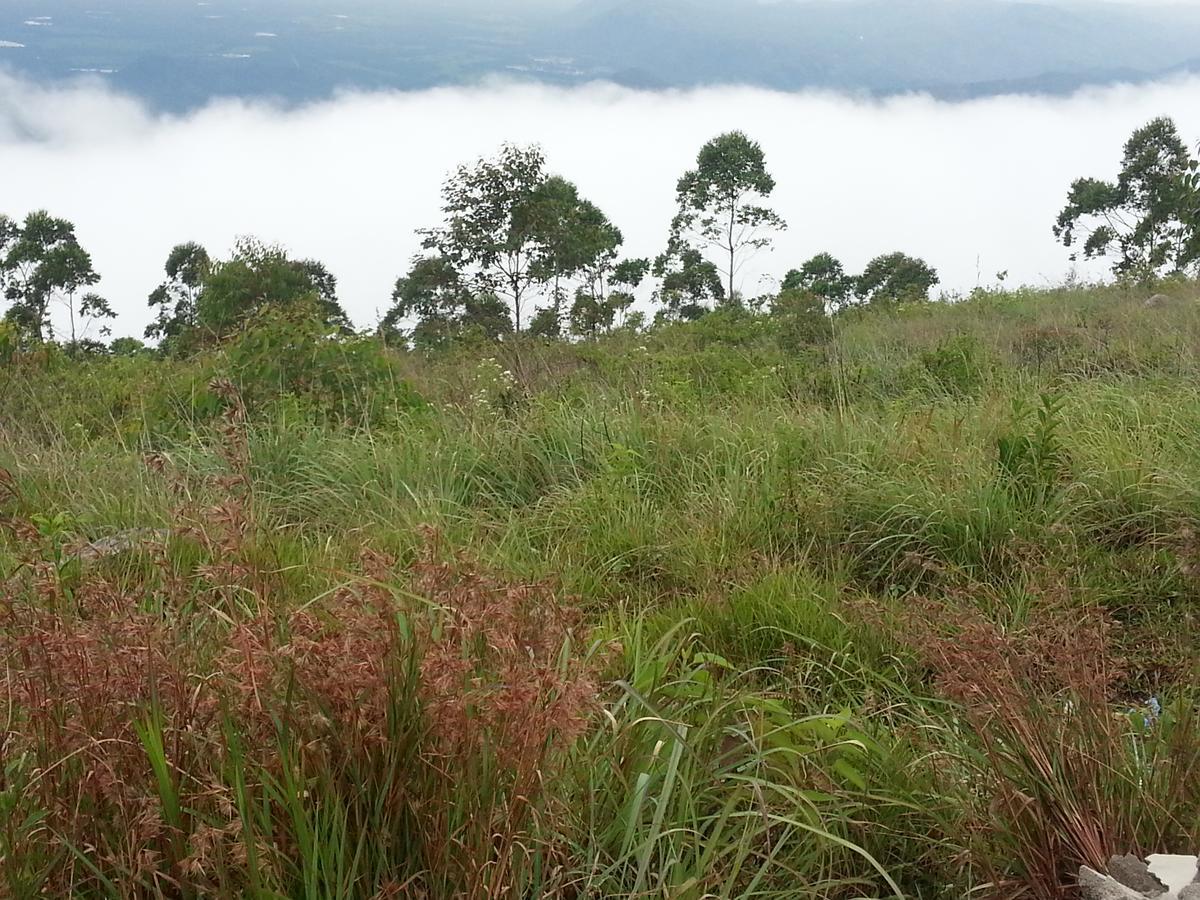 Olive Hill Top Hotel Haputale Buitenkant foto
